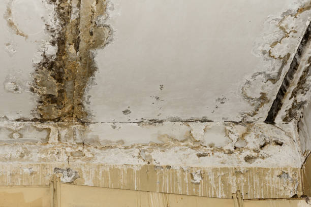 Best Asbestos and Lead Testing During Mold Inspection  in Sunnyside Tahoe City, CA
