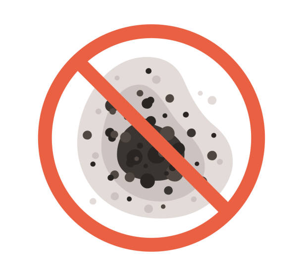 Best Mold-Related Health Consultation  in Sunnyside Tahoe City, CA